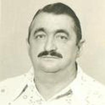 Romeu Zanini